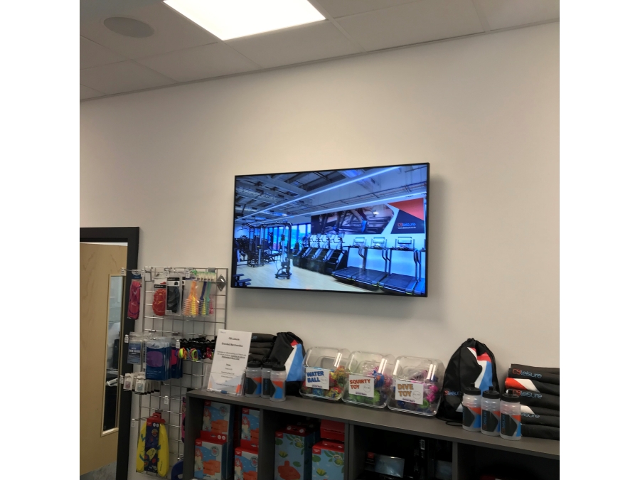 Professional Monitor